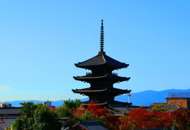 東寺紅葉