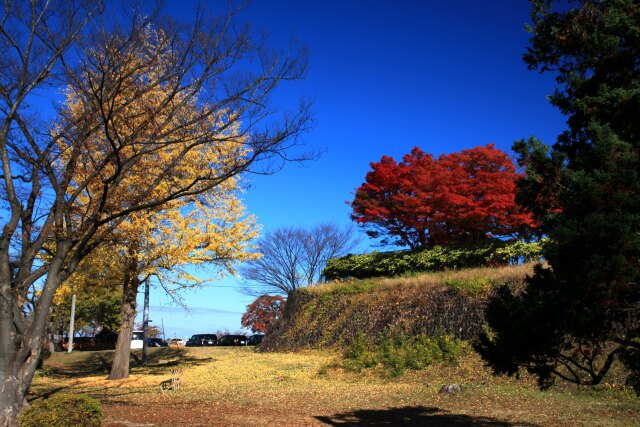 山形縣護國神社裏の公園