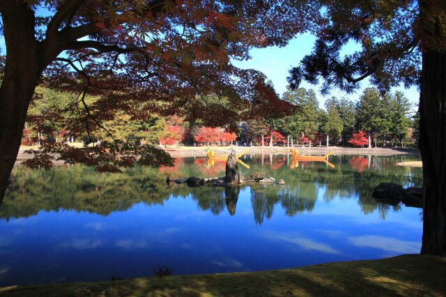 秋の毛越寺 