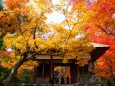 常寂光寺紅葉