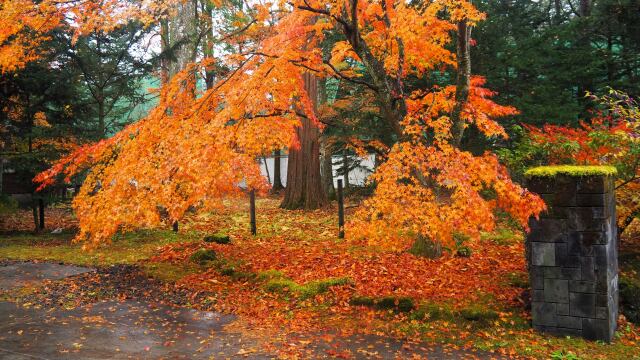 軽井沢の紅葉