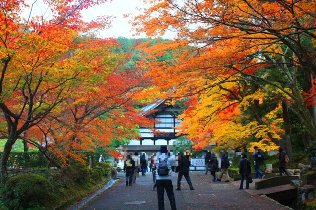 南禅寺紅葉