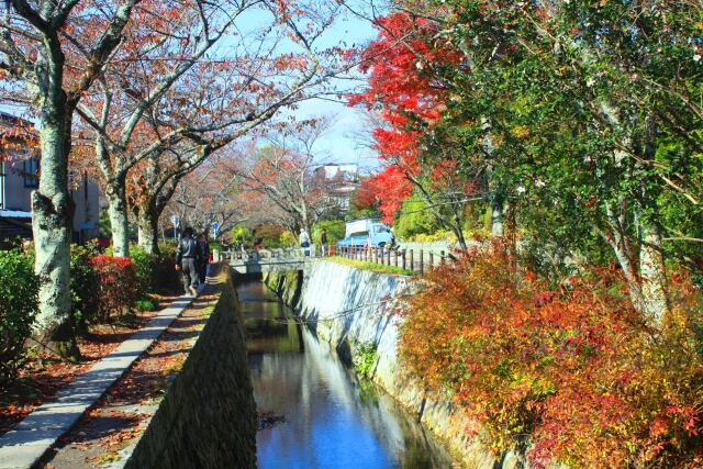 哲学の道紅葉