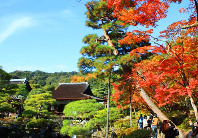 銀閣寺紅葉