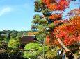 銀閣寺紅葉