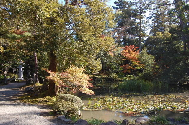 金澤神社の池 2023年