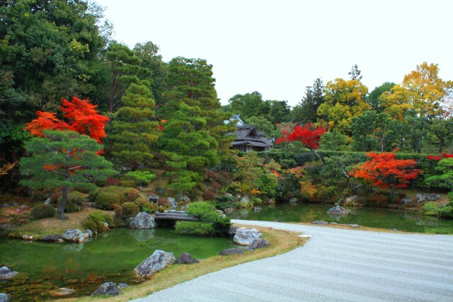 仁和寺紅葉