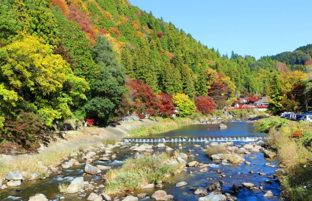 香嵐渓紅葉