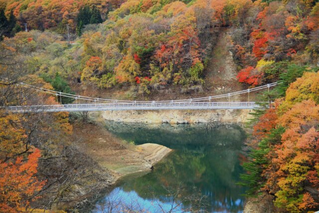 晩秋の白い吊り橋