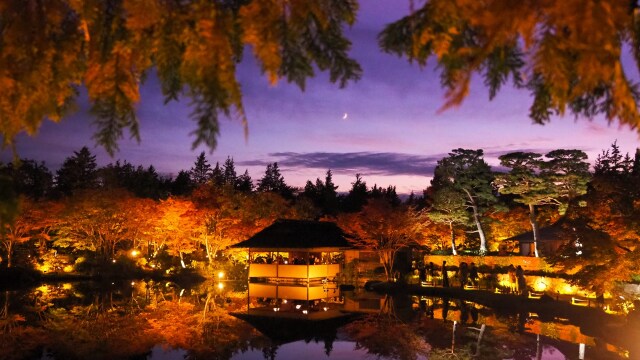 秋の夜の昭和記念公園