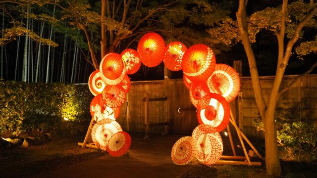 秋の夜の昭和記念公園