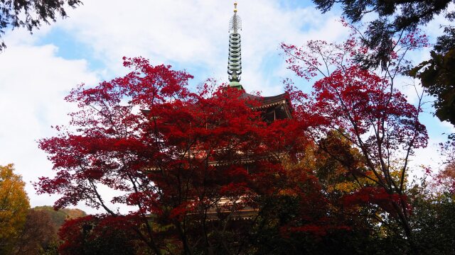 秋の善光寺