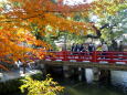 紅葉の太宰府天満宮参道