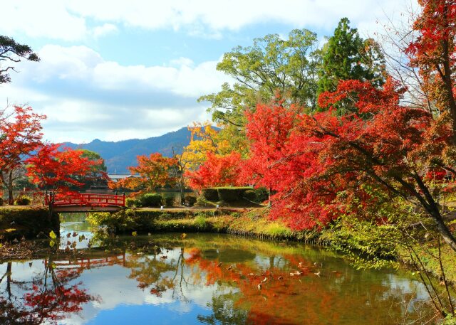 大覚寺紅葉