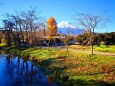 晩秋の忍野八海