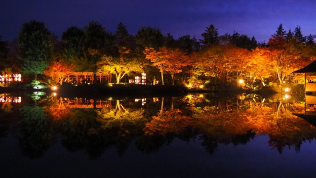 秋の夜の昭和記念公園