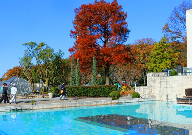 東山動植物園紅葉