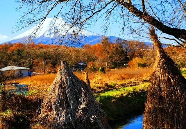 初冬の忍野八海