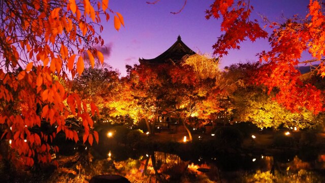 秋の夜の東寺