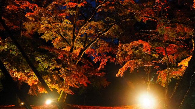 秋の夜の小諸城址公園