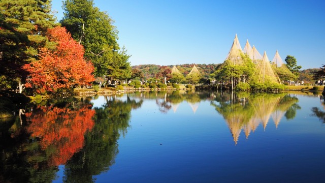 兼六園の紅葉