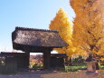 晩秋の寺