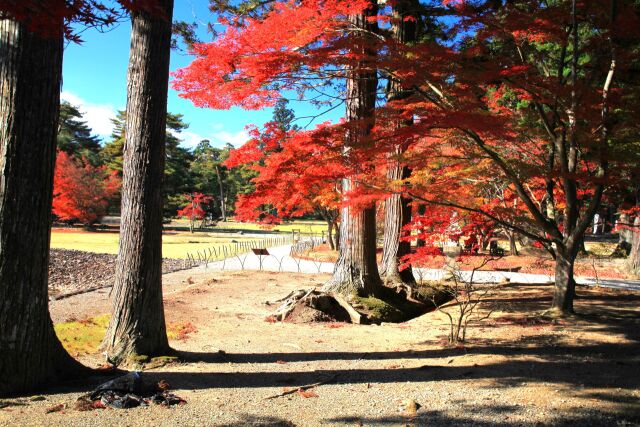 秋の毛越寺