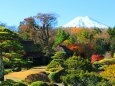 忍野八海紅葉