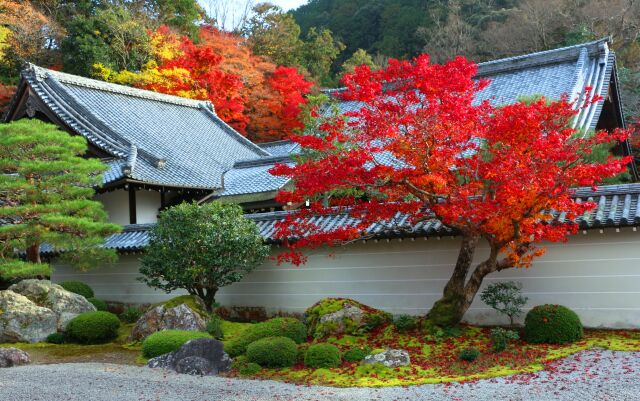 南禅寺紅葉