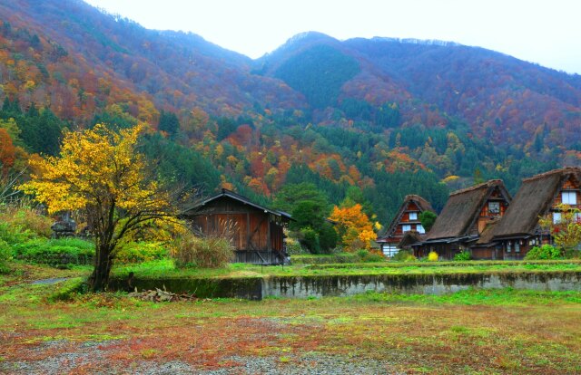 晩秋の白川郷