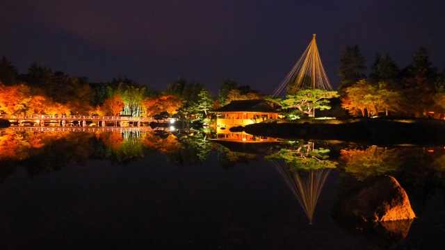 秋の夜の昭和記念公園