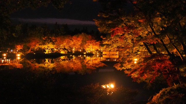 秋の夜の昭和記念公園