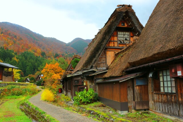 晩秋の白川郷