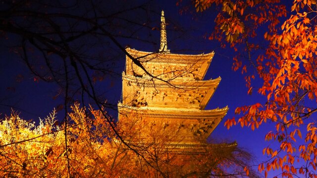 秋の夜の東寺