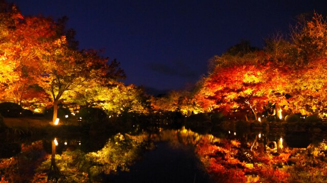 秋の夜の東寺