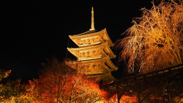 秋の夜の東寺