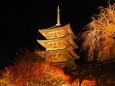 秋の夜の東寺