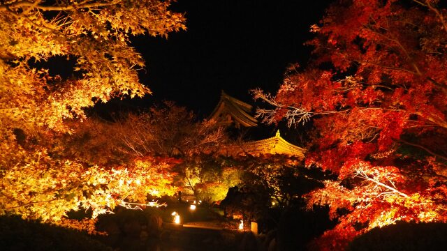 秋の夜の東寺