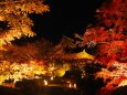 秋の夜の東寺