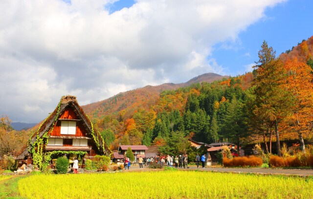 晩秋の白川郷