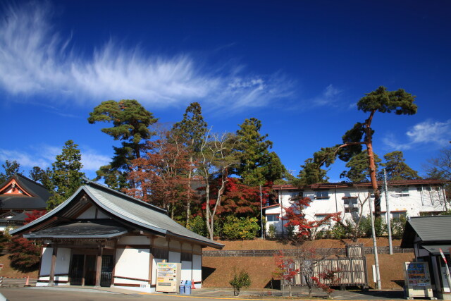 秋の毛越寺