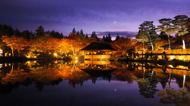 秋の夜の昭和記念公園