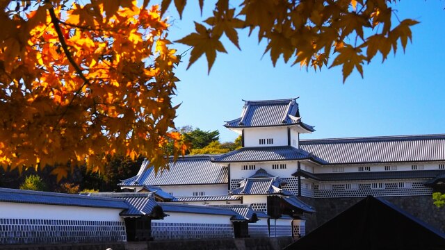 秋の金沢城公園