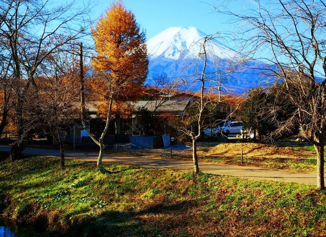 初冬の忍野八海