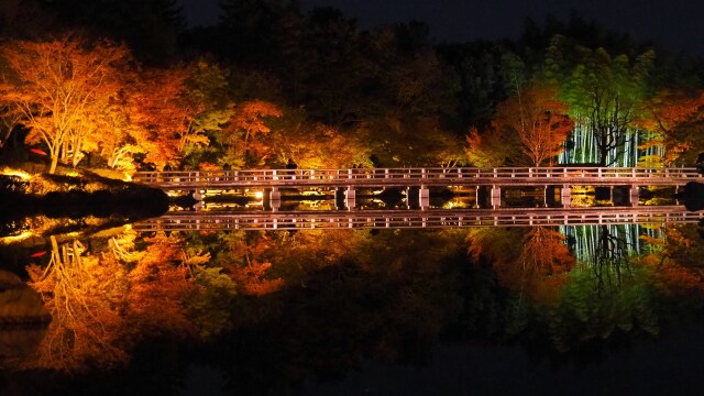 秋の夜の昭和記念公園