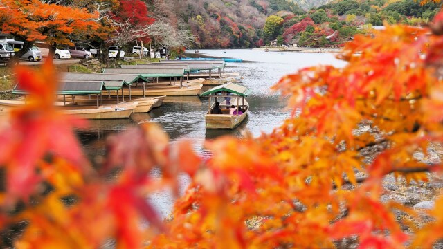 秋の嵐山