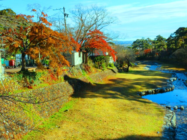 養老公園