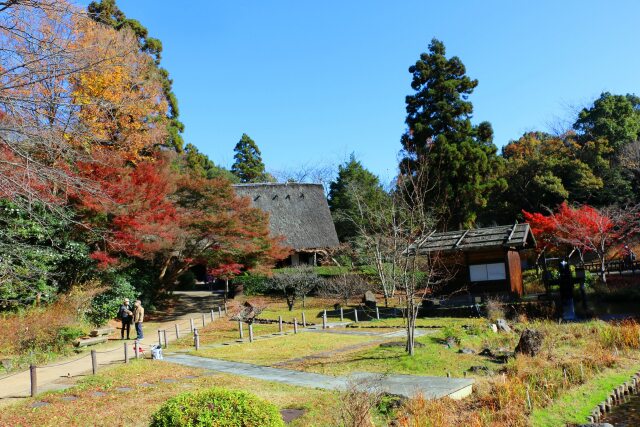 東山動植物園