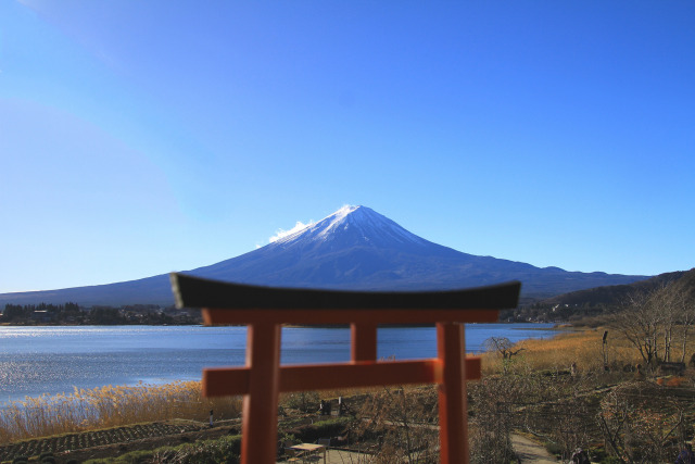 鳥居の上に・・