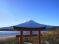 鳥居の上に・・